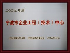 宁波市企业工程（技术）中心证书