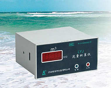 LYJ 水表积算仪